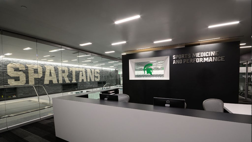 charcoal accent white birch honed michigan state project 4